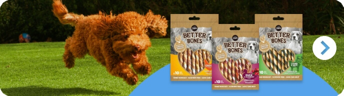 Better Bones